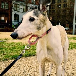 Meet your Posher, Johnmichael